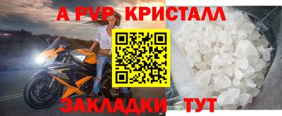 ECSTASY Нальчик