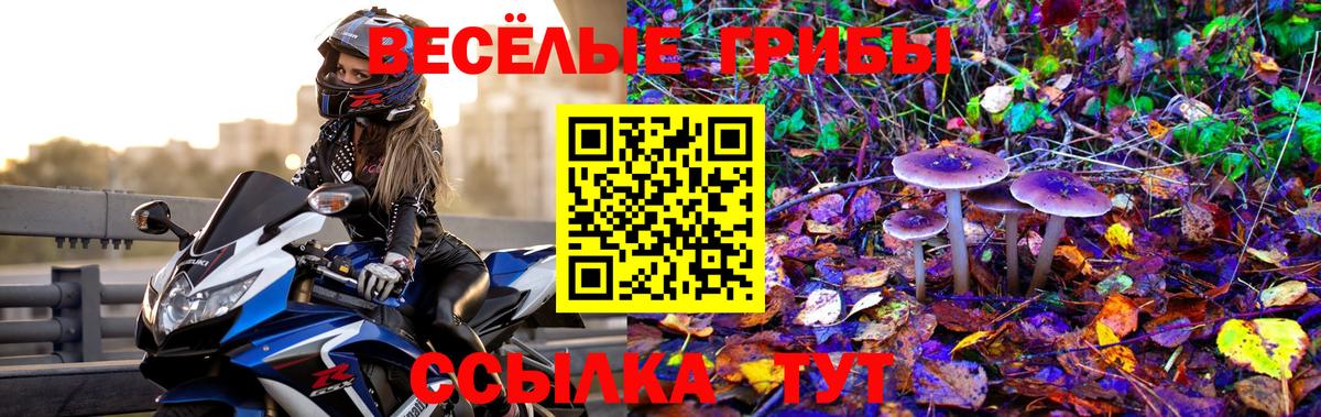 Фрязино  Галлюциногенные грибы Cubensis  Вход с VPN 